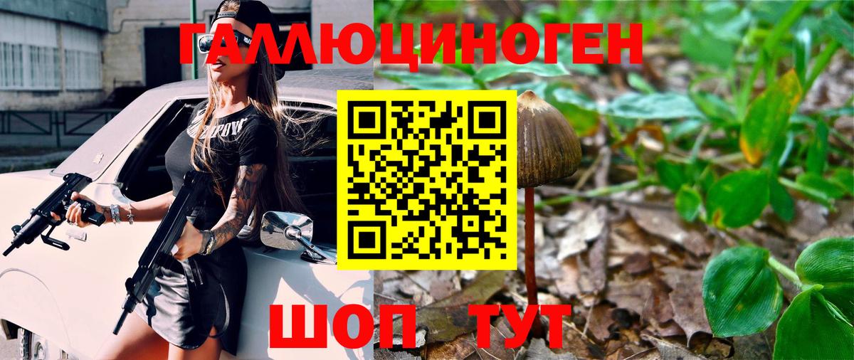 Сокол  Псилоцибиновые грибы мухоморы  Вход с VPN 